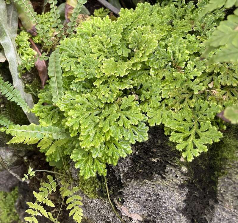 How to Set Boundaries and Prioritize Self-Care 4 Set Boundaries