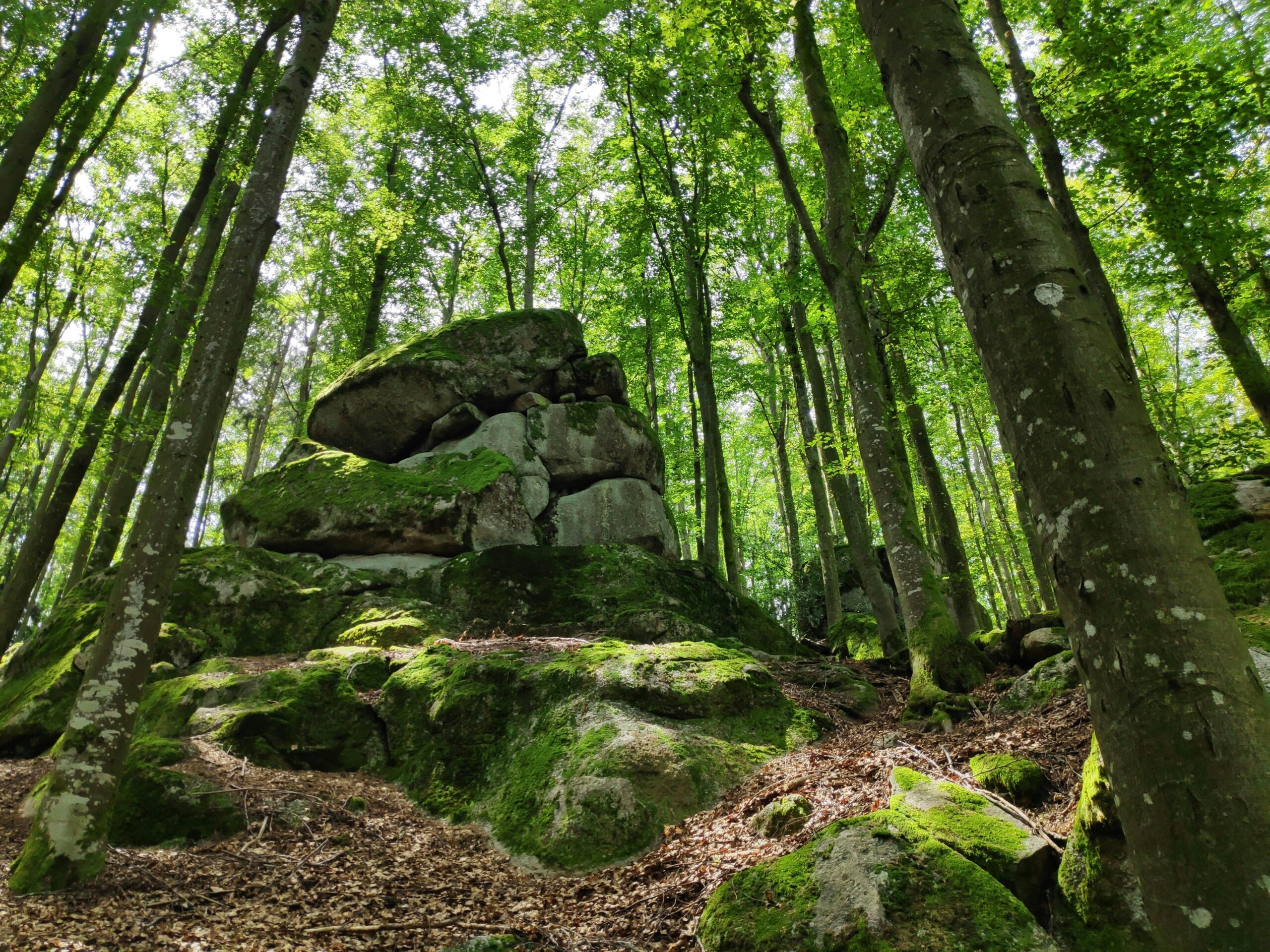 healing in a fix-it culture