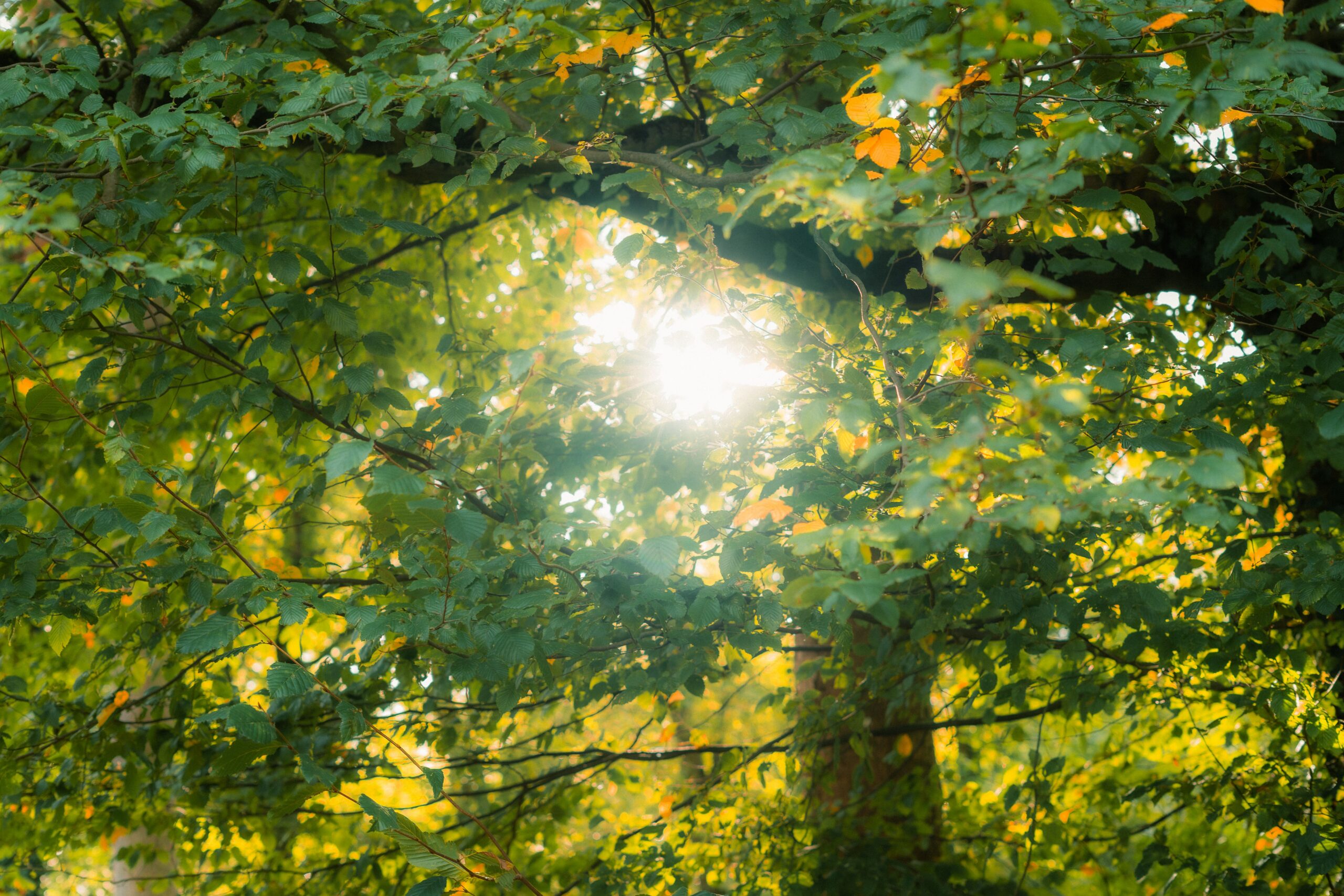 why good people sometimes act in harmful ways